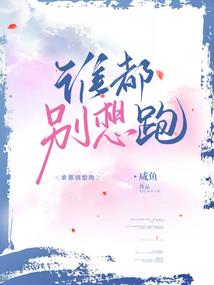 至宝特工