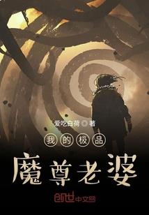 重生末世之全能魔法师