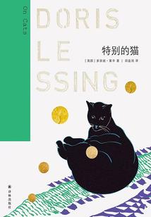 十年相爱终成空