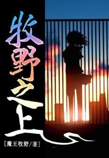 化境飞仙