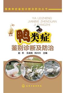 古荒帝记