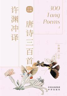 天雷公主传奇