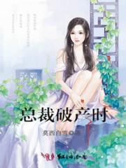 藏天传说