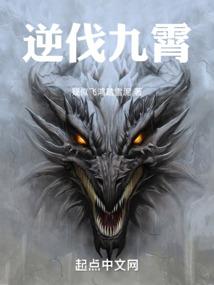 次元修复者