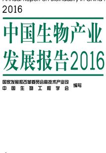 我的英雄学院之剑魂系统