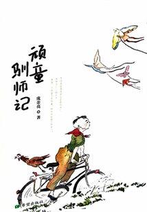 飞吧我的灰姑娘