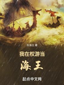 一拳打穿海贼世界