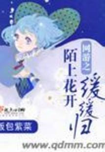 女友来自卡牌
