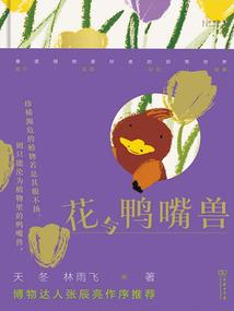 快穿之女配大翻身