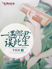 镜面人生