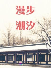 精神手术
