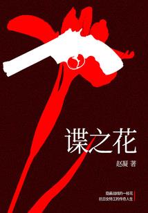 齐天大圣异界诛仙