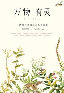 灵极武圣