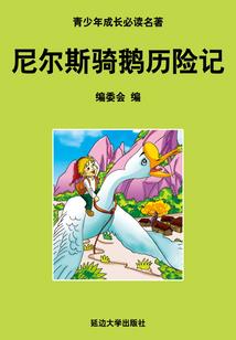 爱上像烟花的女子