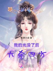 霍格沃茨之芯片辅助