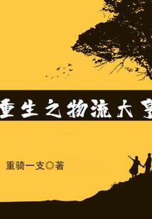 人间异常VAPOUR