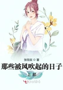柳如枫传