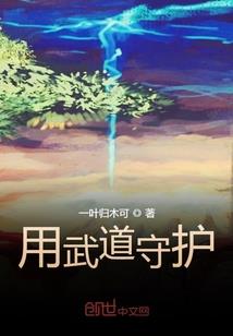 林雨城之金甲客