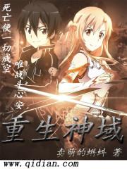 黑剑士与呆毛王