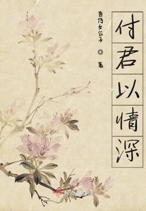 消失之夜