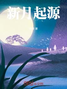 闪婚丫头心尖宠