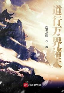 王爷夜未央