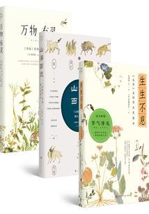 第三种选择