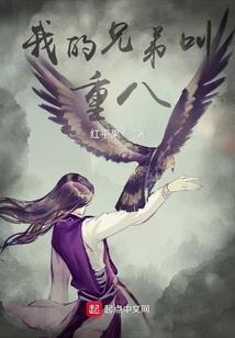 忍者的绝密计划