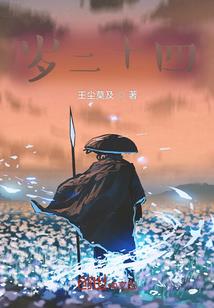 神奇宝贝之王者的系统