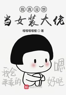 狐岚
