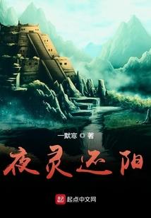 养猫守则，萌宠小妃