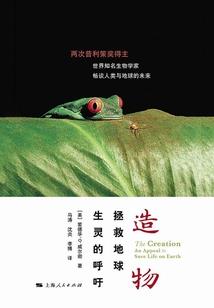 飞龙化神