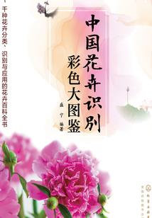 霸武战尊