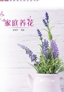 前世无缘今生无份