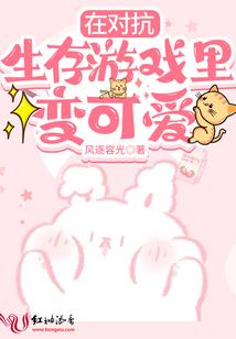 侠岚之火神王储