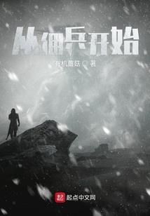 绯夜宸歌
