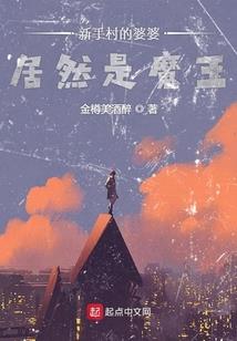 玄霄大陆之九霄云天