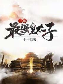 罗浮宫决(合作)