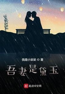 傲宠娇妃