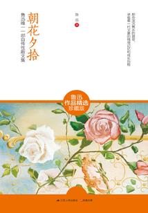 二十一世纪入侵
