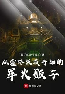 我只是个开锁匠