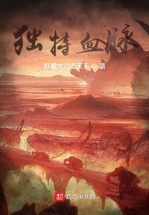 天元领主录