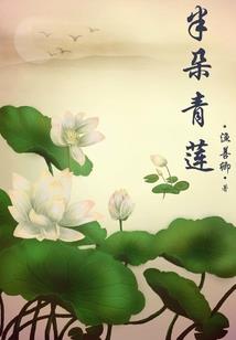 临界领域