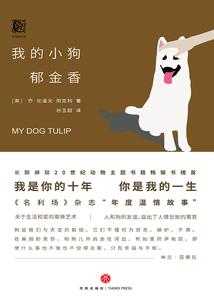 大清：从工业革命开始强国