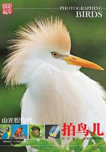 田园萌妻相公心尖宠