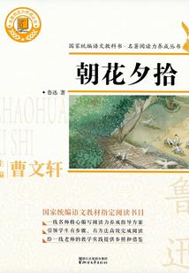 凤行天下1炎寒篇