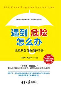 不良人：宋阀崛起