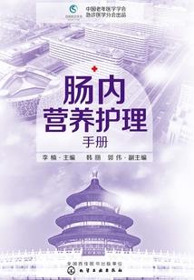 西幻光明之城