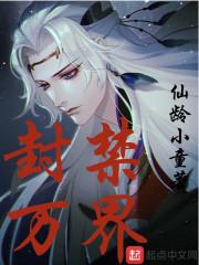 009系统