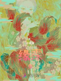 神奇宝贝之紫昼